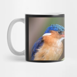 Malachite Kingfisher Mug